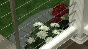 Timbertech cable deck railing enhances views