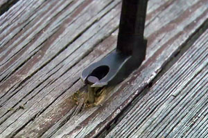Using a Cat's Claw to remove a popped deck nail