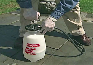 Using a pump sprayer to apply Thompsons WaterSeal 3 in 1 Wood Cleaner