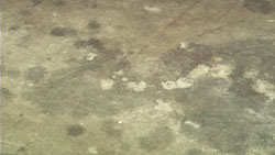 Dirty and stained concrete floor