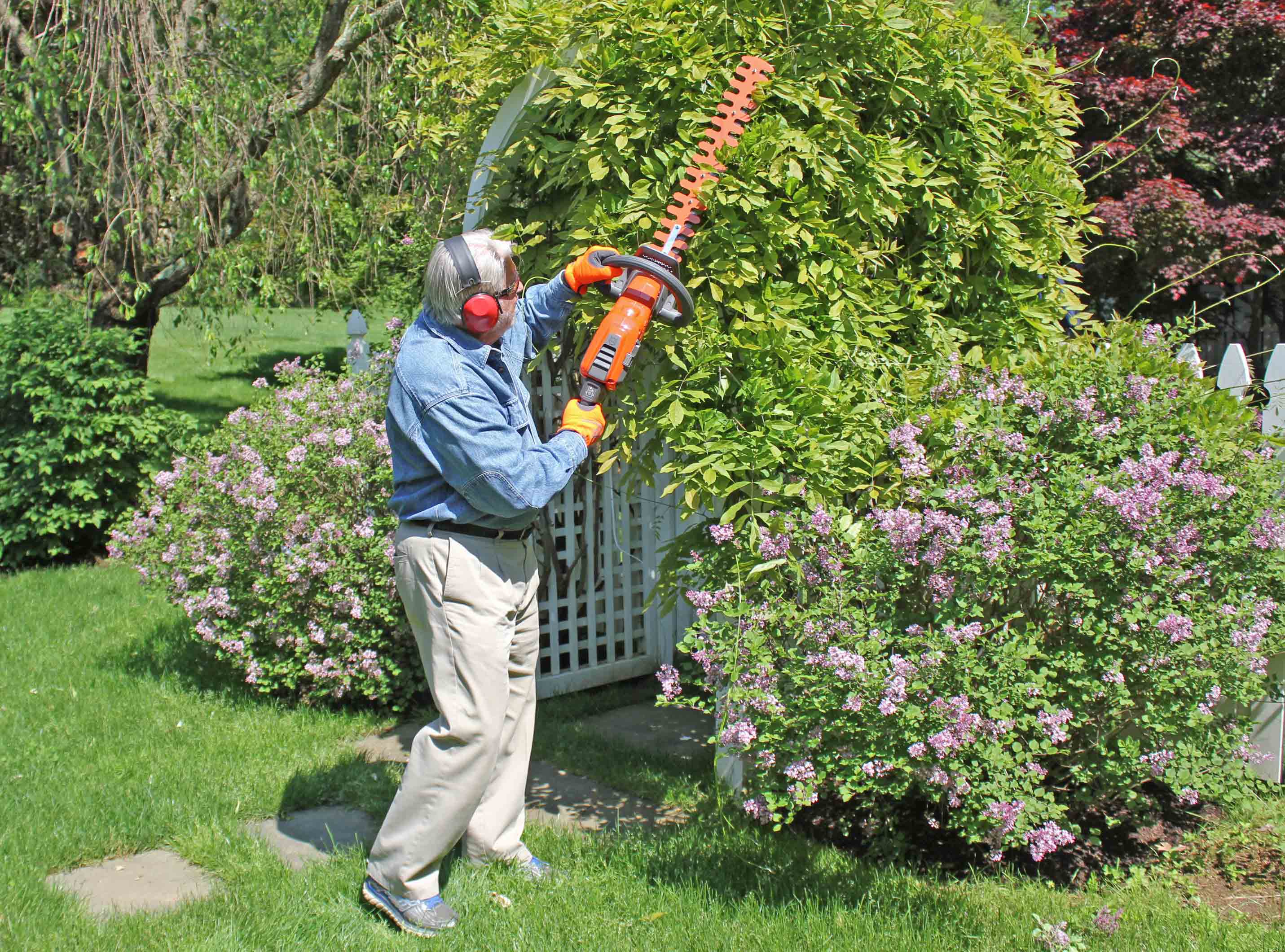 Man using hedge trimmer on bush